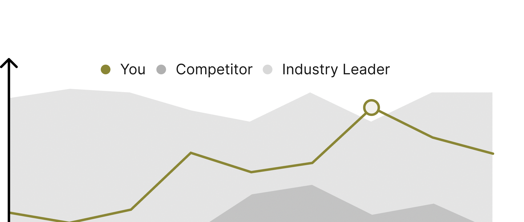 stacy competitive landscape
